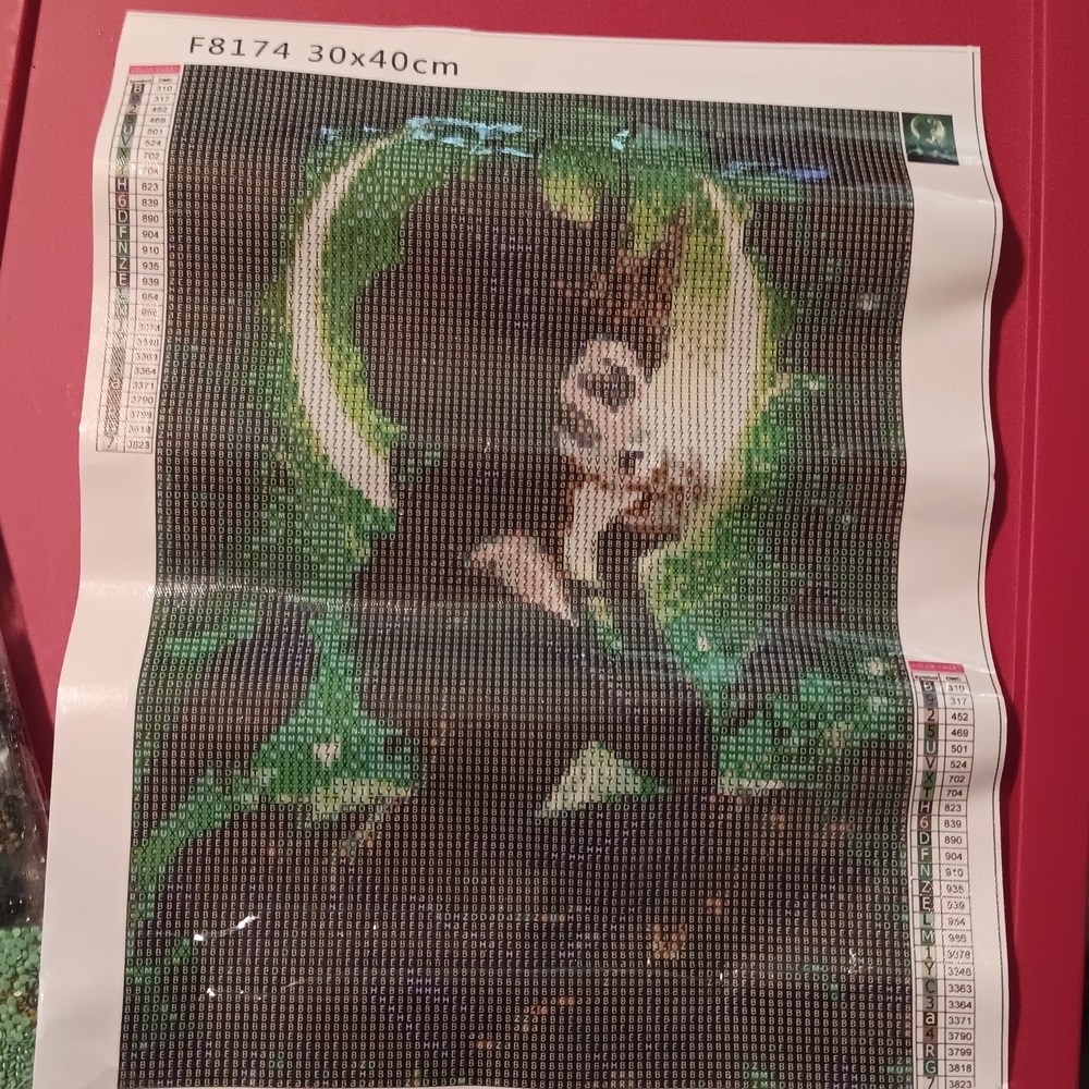 Witch And Raven Diamond Painting Kit - Green and Black 30x40